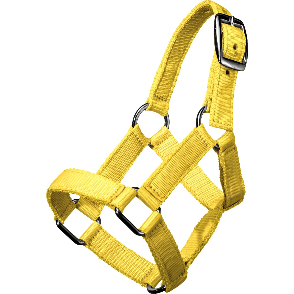 Mini foal halter   Fairfield®