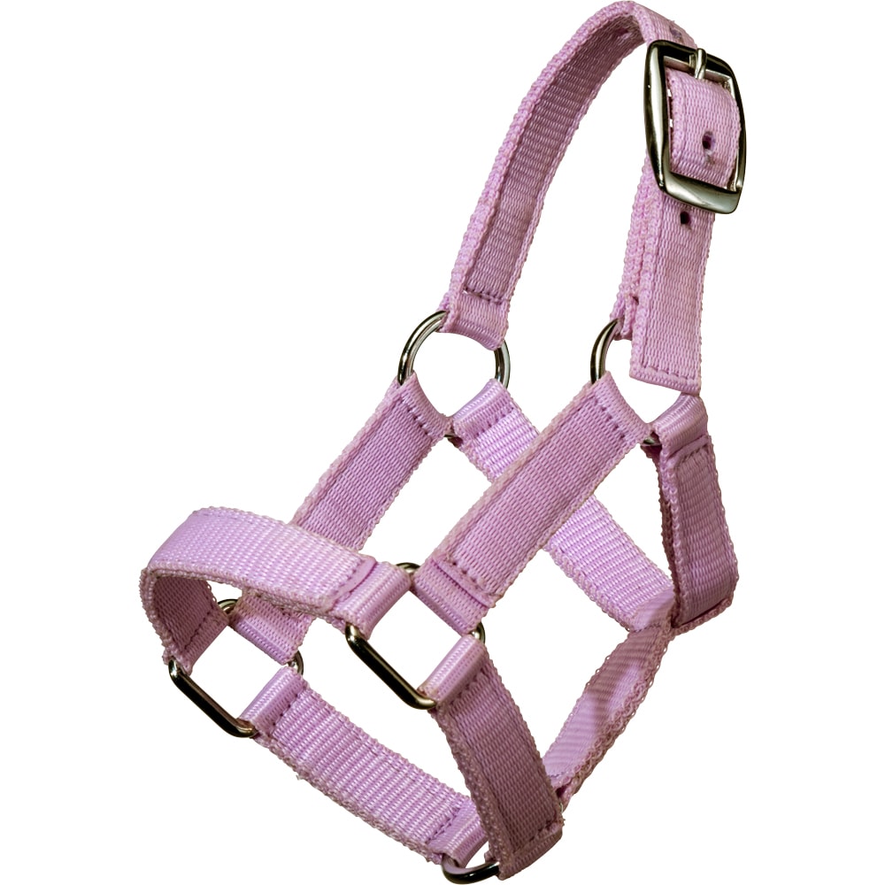 Mini foal halter   Fairfield®