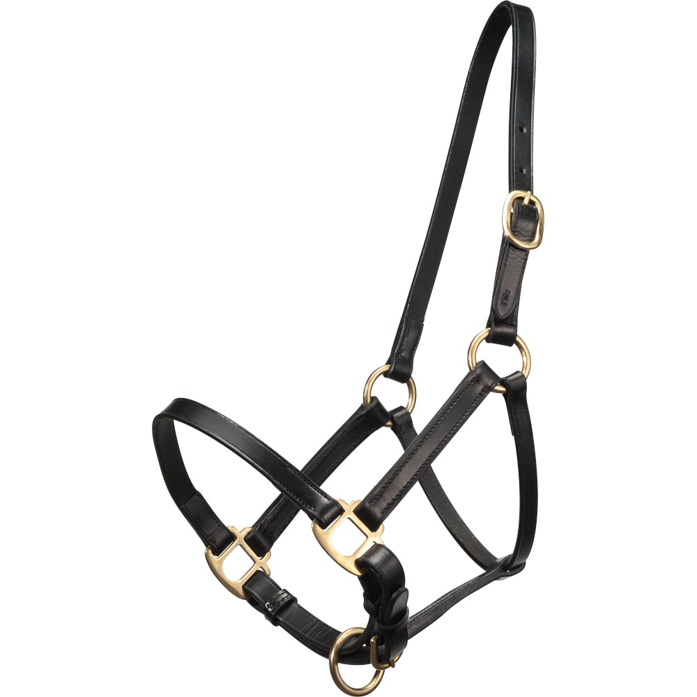 Foal/Shetland halter   Fairfield®