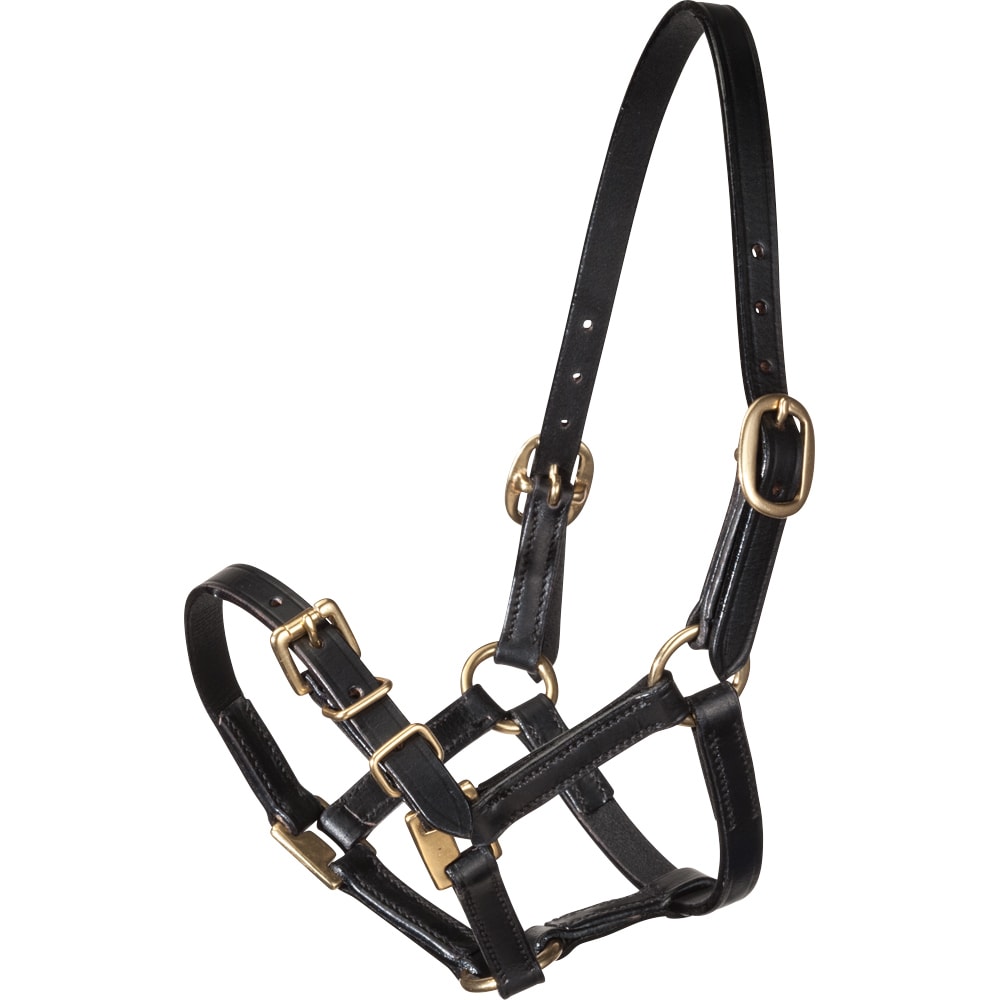 Foal/Shetland halter   Fairfield®