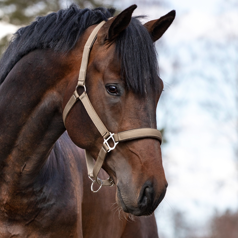 Halter  Kaliber Fairfield®