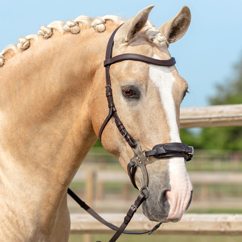 Bridle  Hackamore Fairfield®