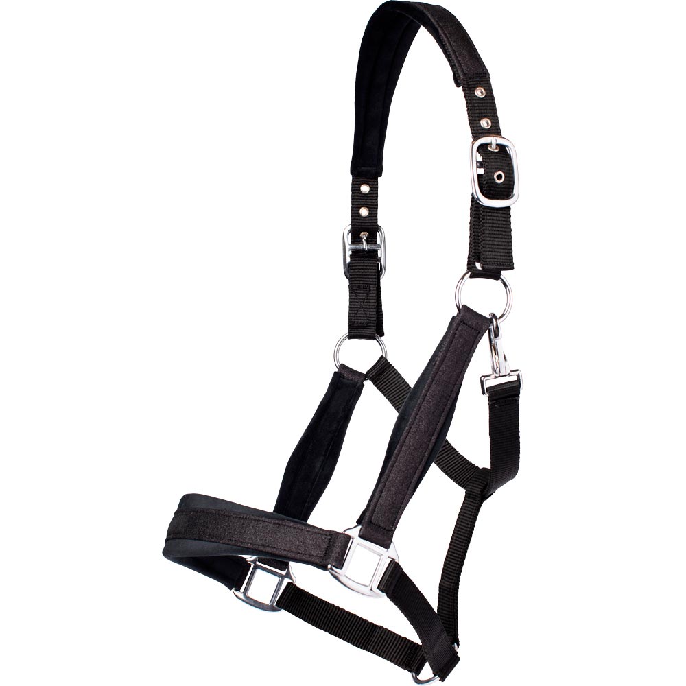 Halter  Dazzle Fairfield®
