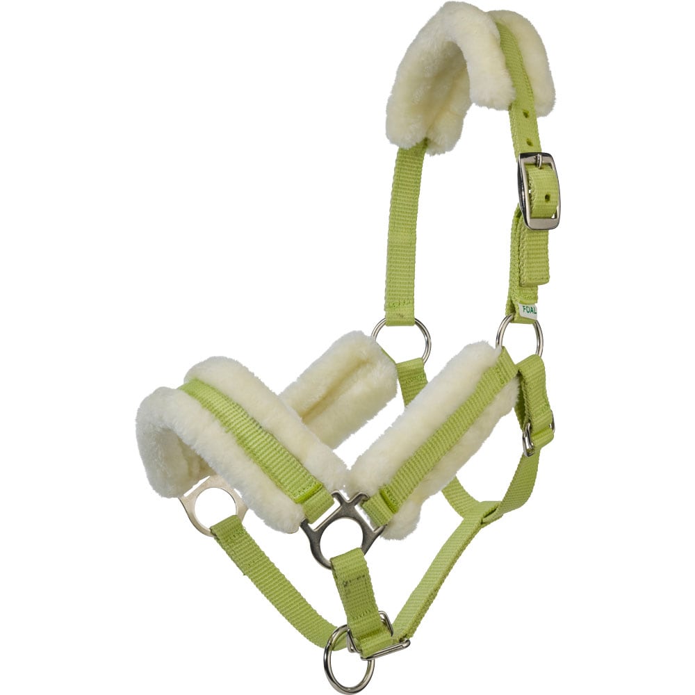 Foal halter   Fairfield®