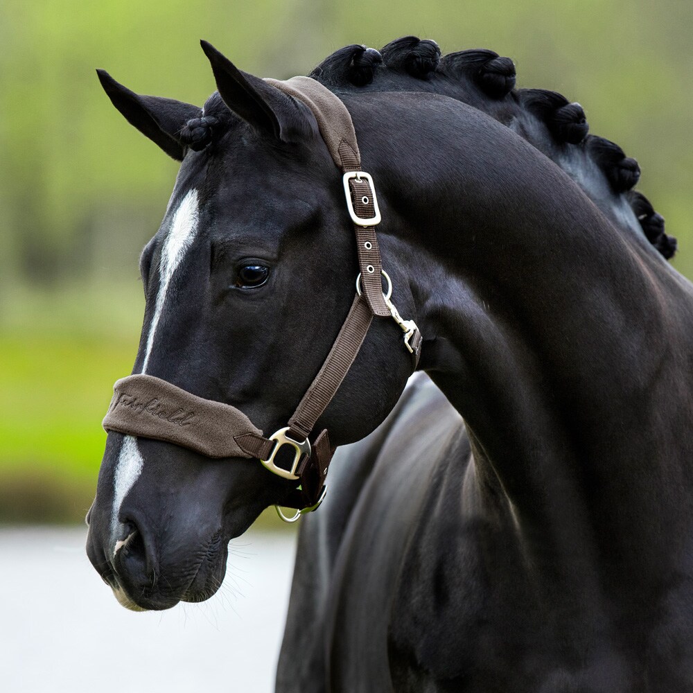 Halter  Gaspari Fairfield®