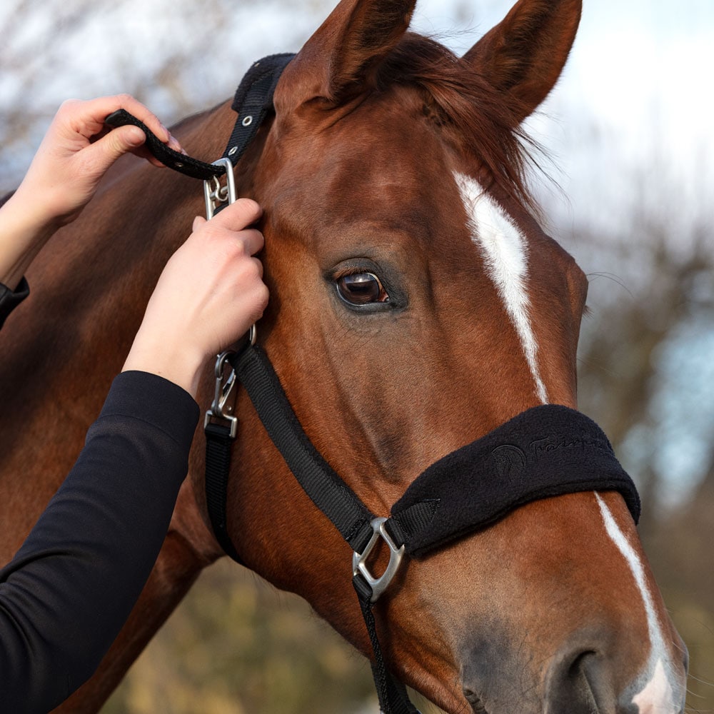 Halter  Kaifas Fairfield®