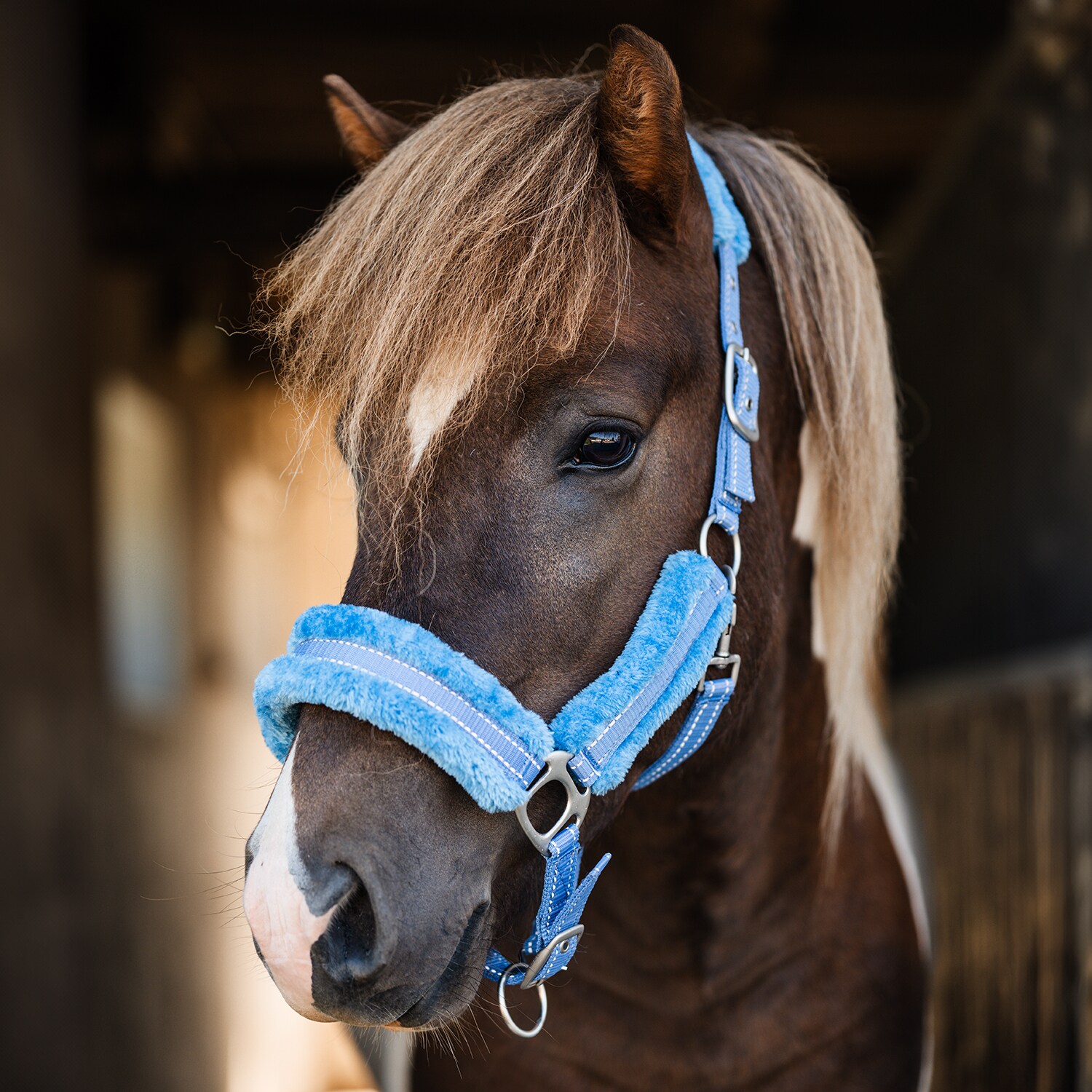 Reflective halter  Hi-Viz Fur Fairfield®