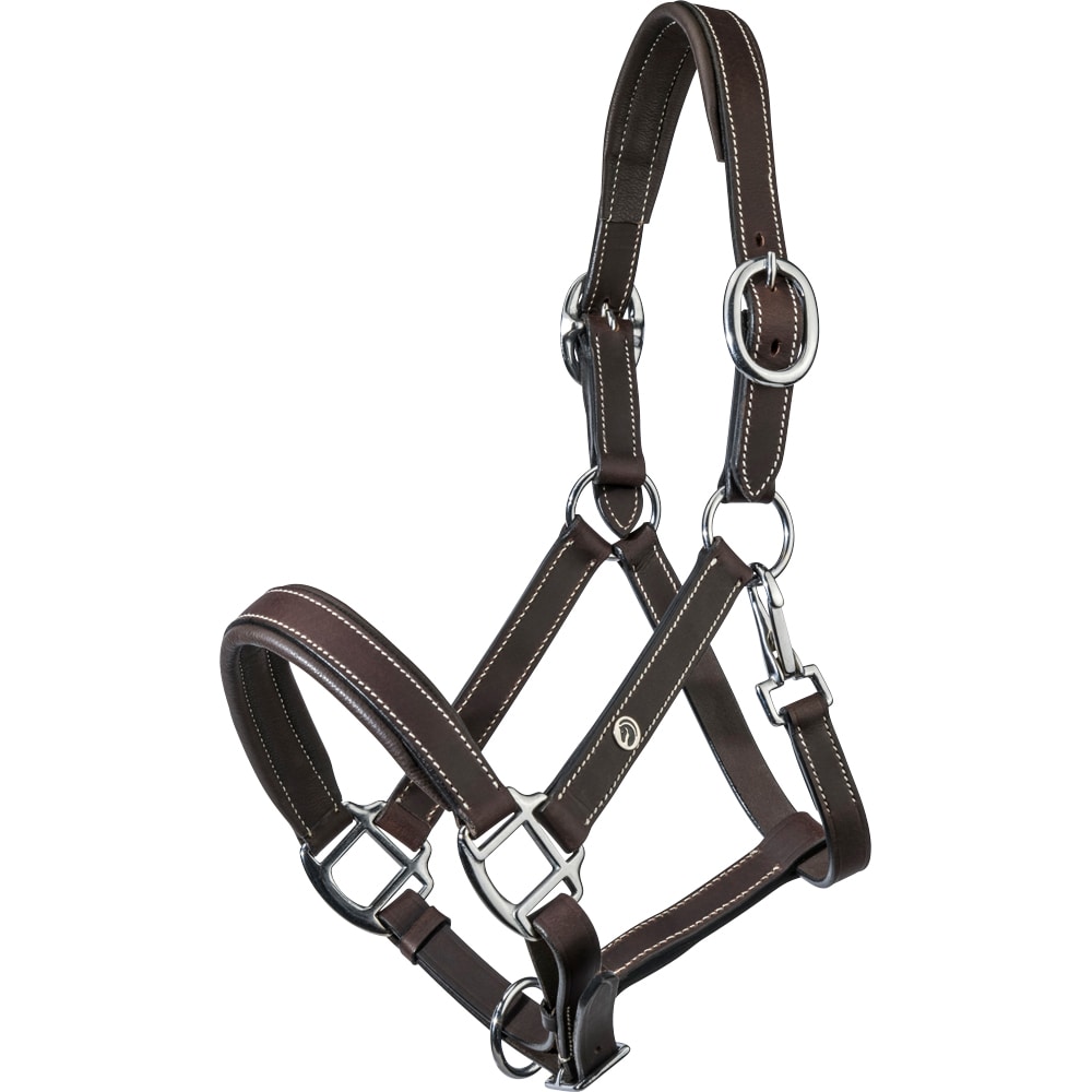 Foal halter  Sherston Fairfield®