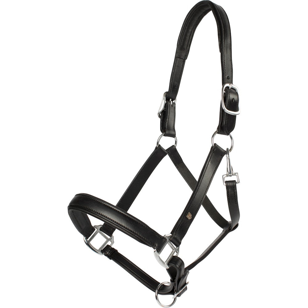 Leather halter  Sherston Fairfield®