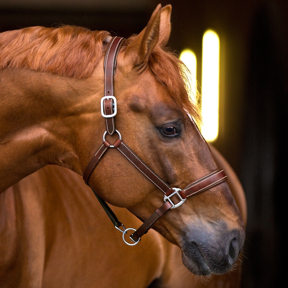 Leather halter  Sherston Fairfield®