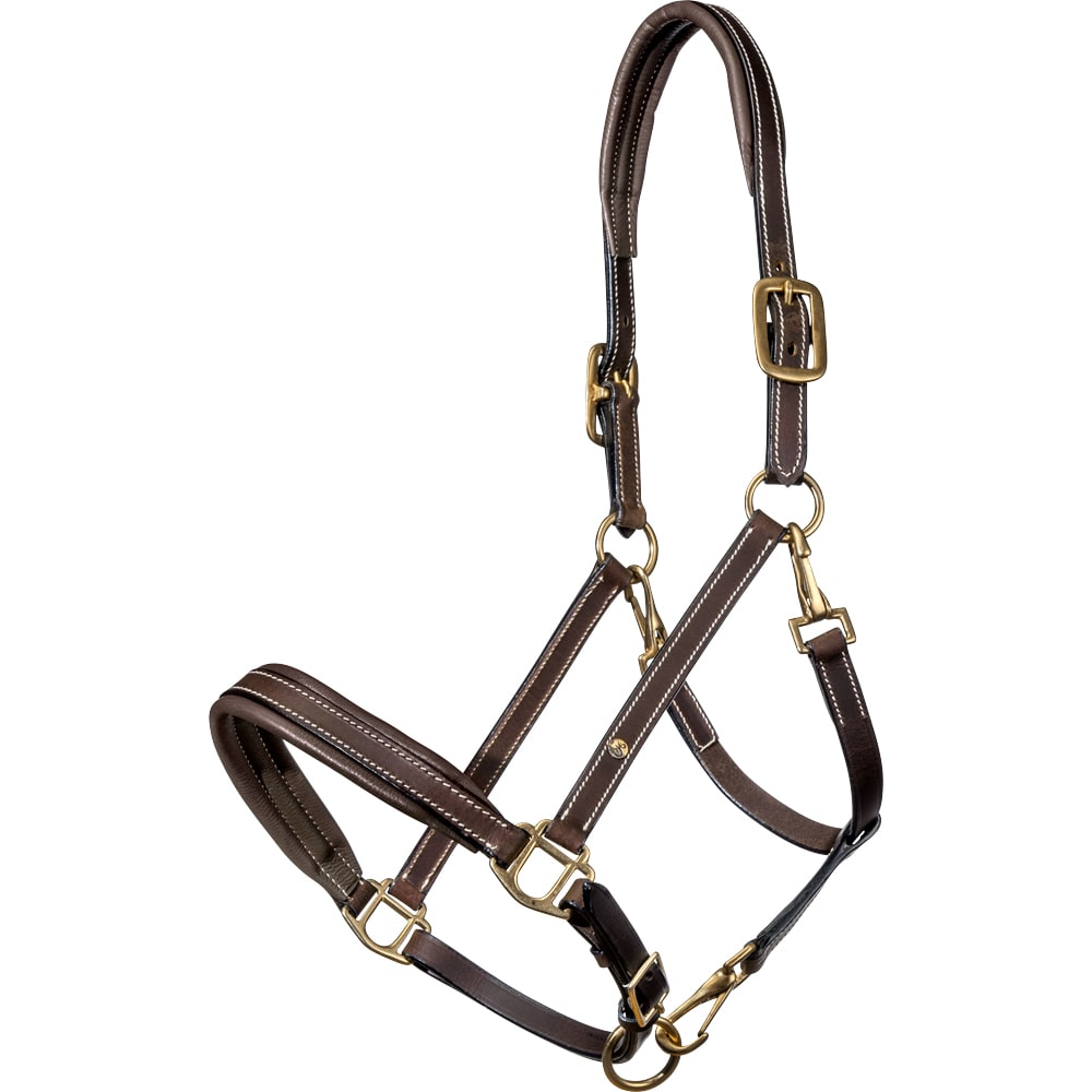 Leather halter  Wilton Fairfield®