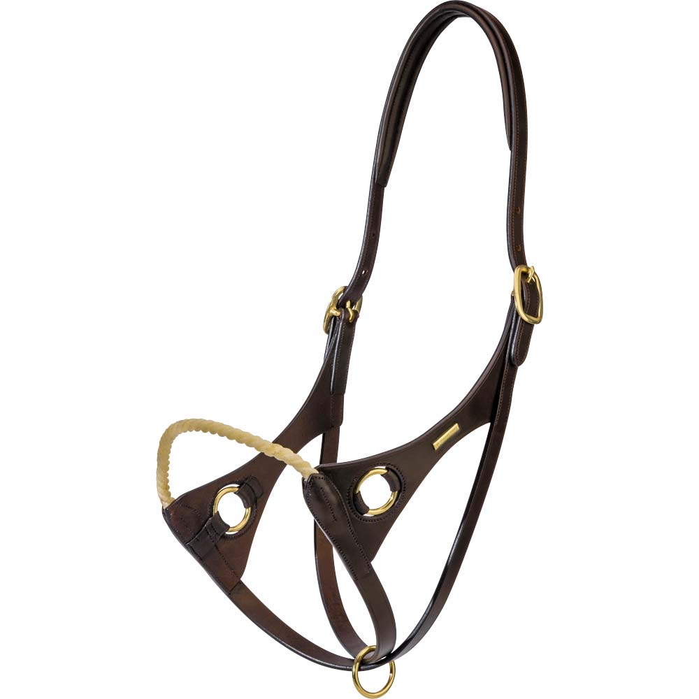 Leather halter  Carl JH Collection®