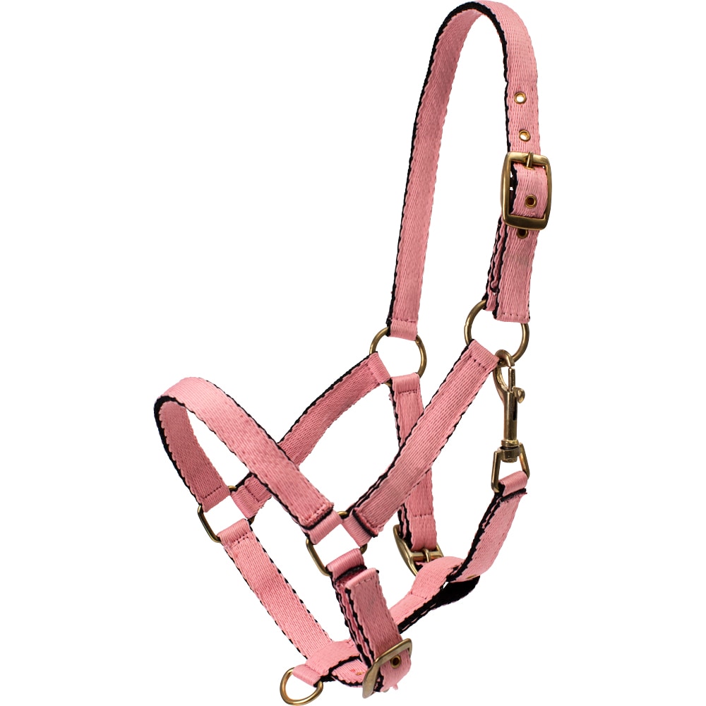 Foal/Shetland halter   Fairfield®