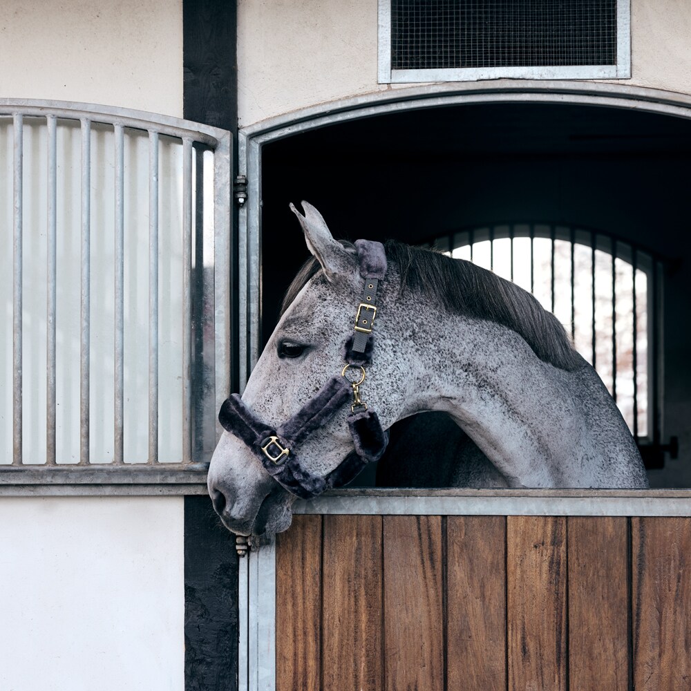 Halter  Furry Fairfield®