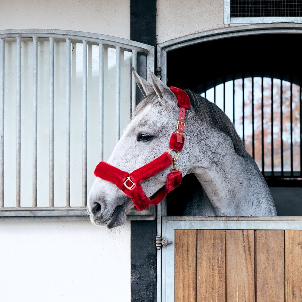 Halter  Furry Fairfield®
