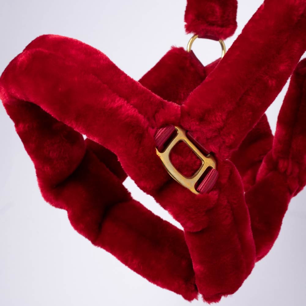 Halter  Furry Fairfield®