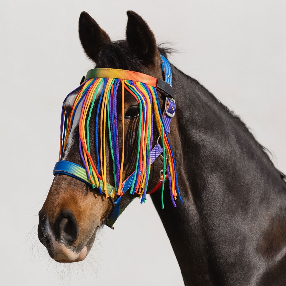 Fly fringe  Rainbow Fairfield®