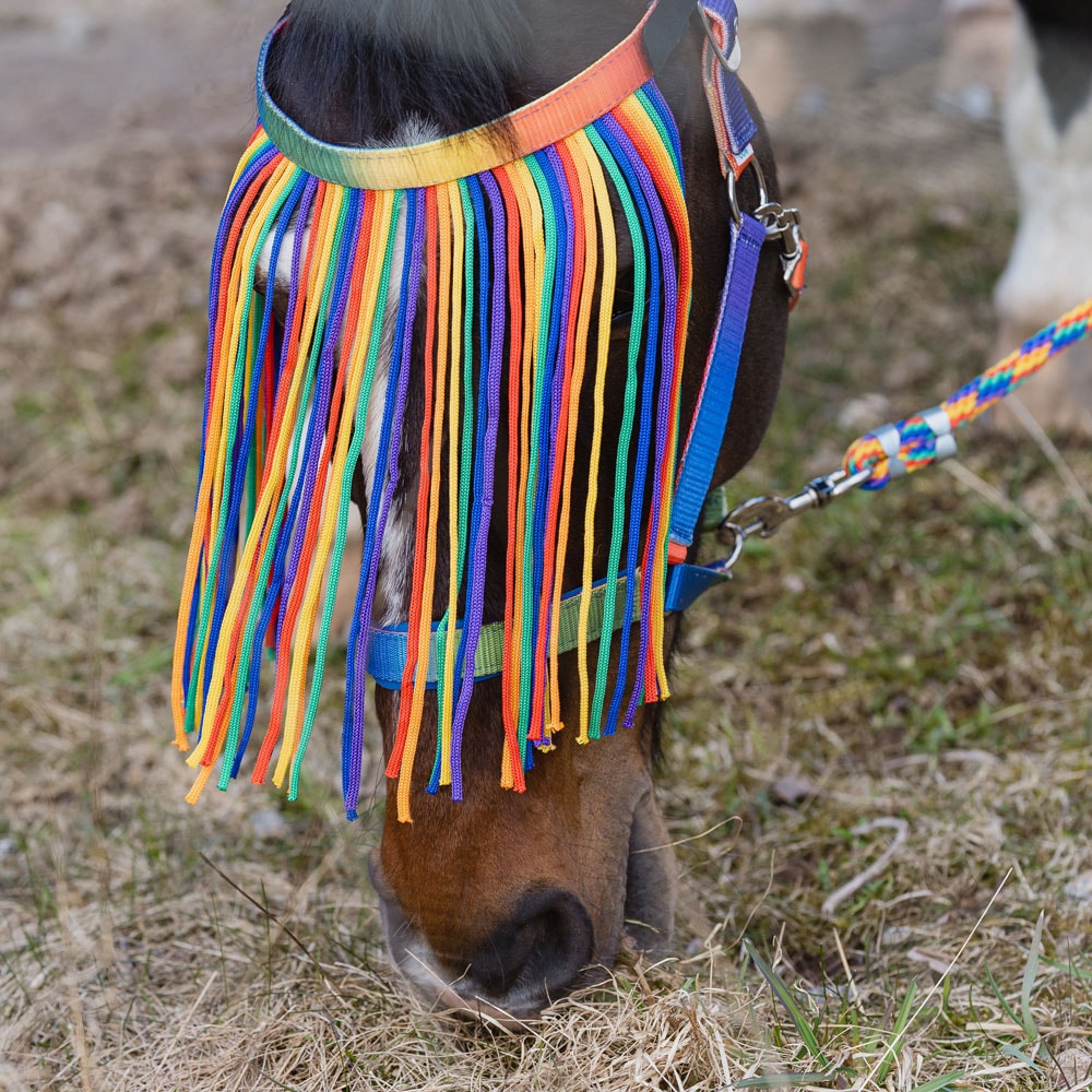 Fly fringe  Rainbow Fairfield®