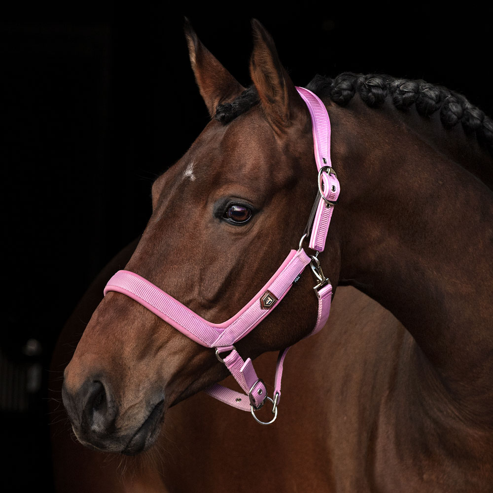 Halter  Fantus Trinity®
