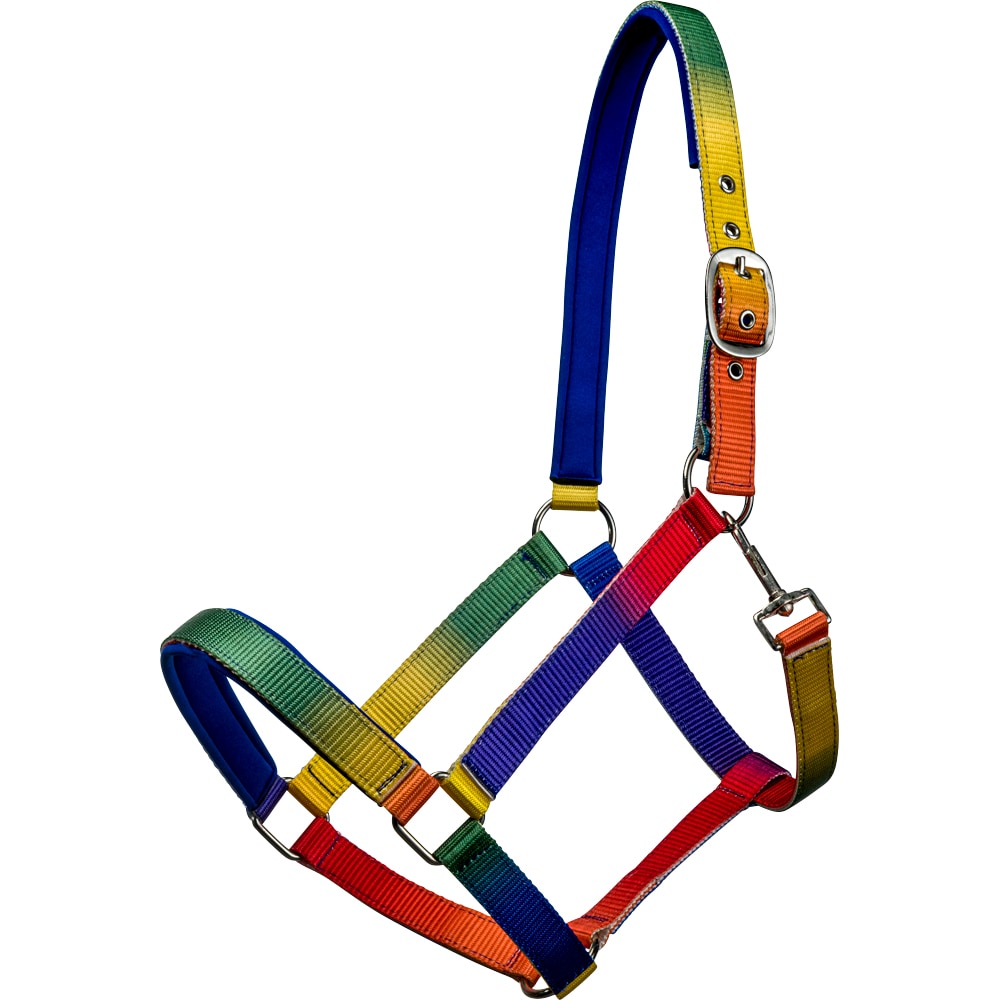 Halter  Rainbow Fairfield®