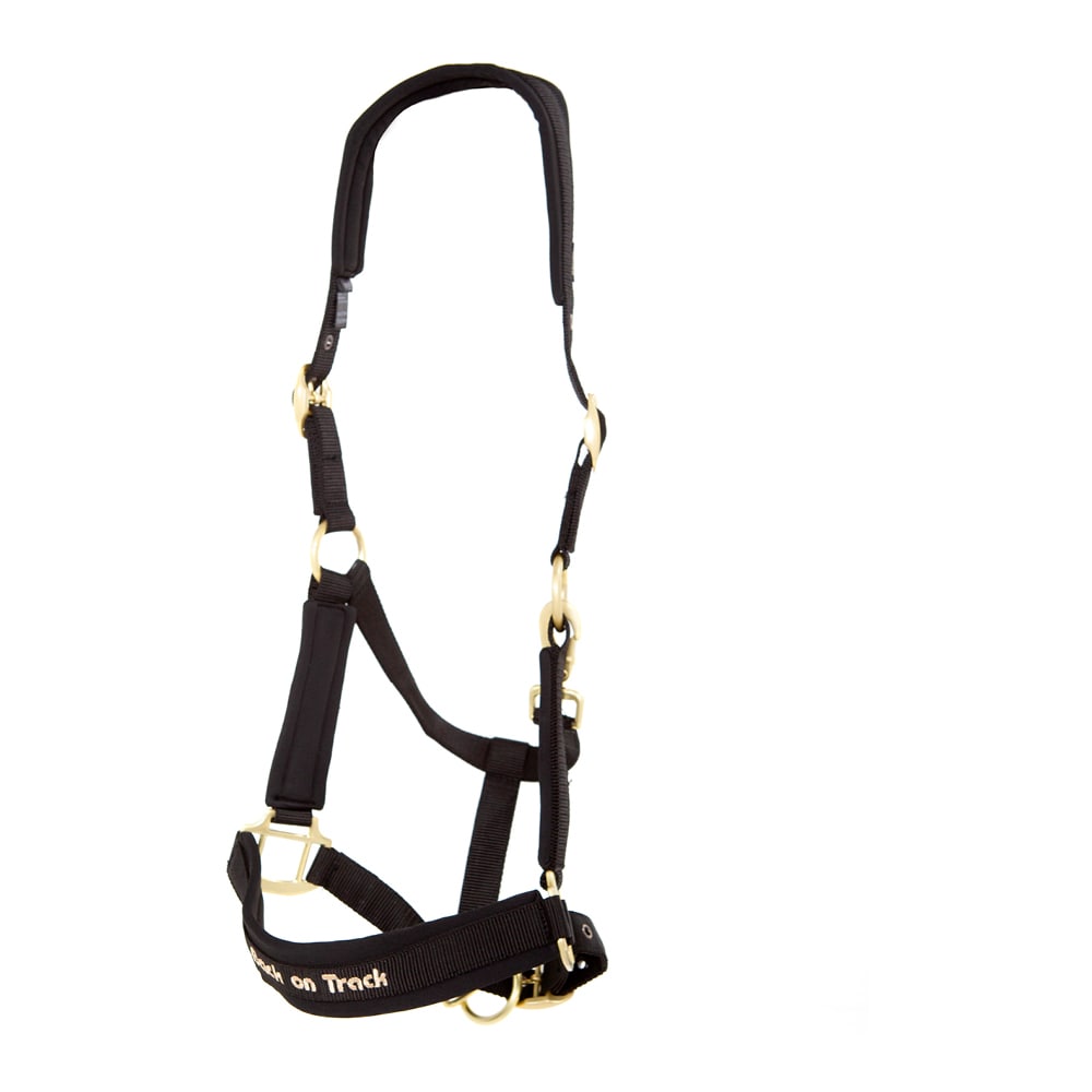 Halter  Werano Back on Track®