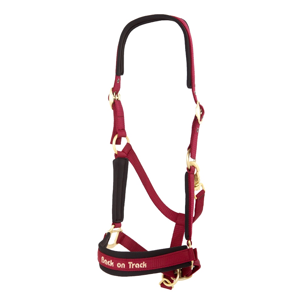 Halter  Werano Back on Track®