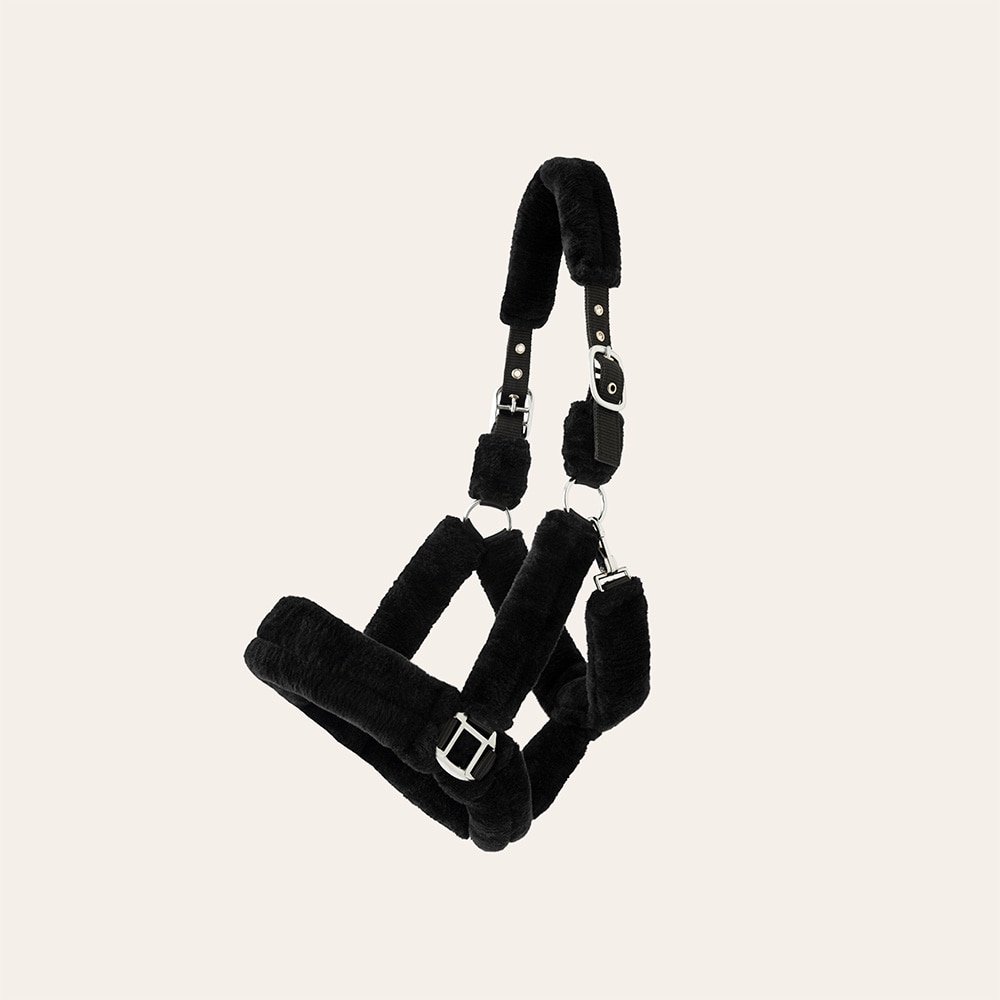 Halter  Corrado Fairfield®