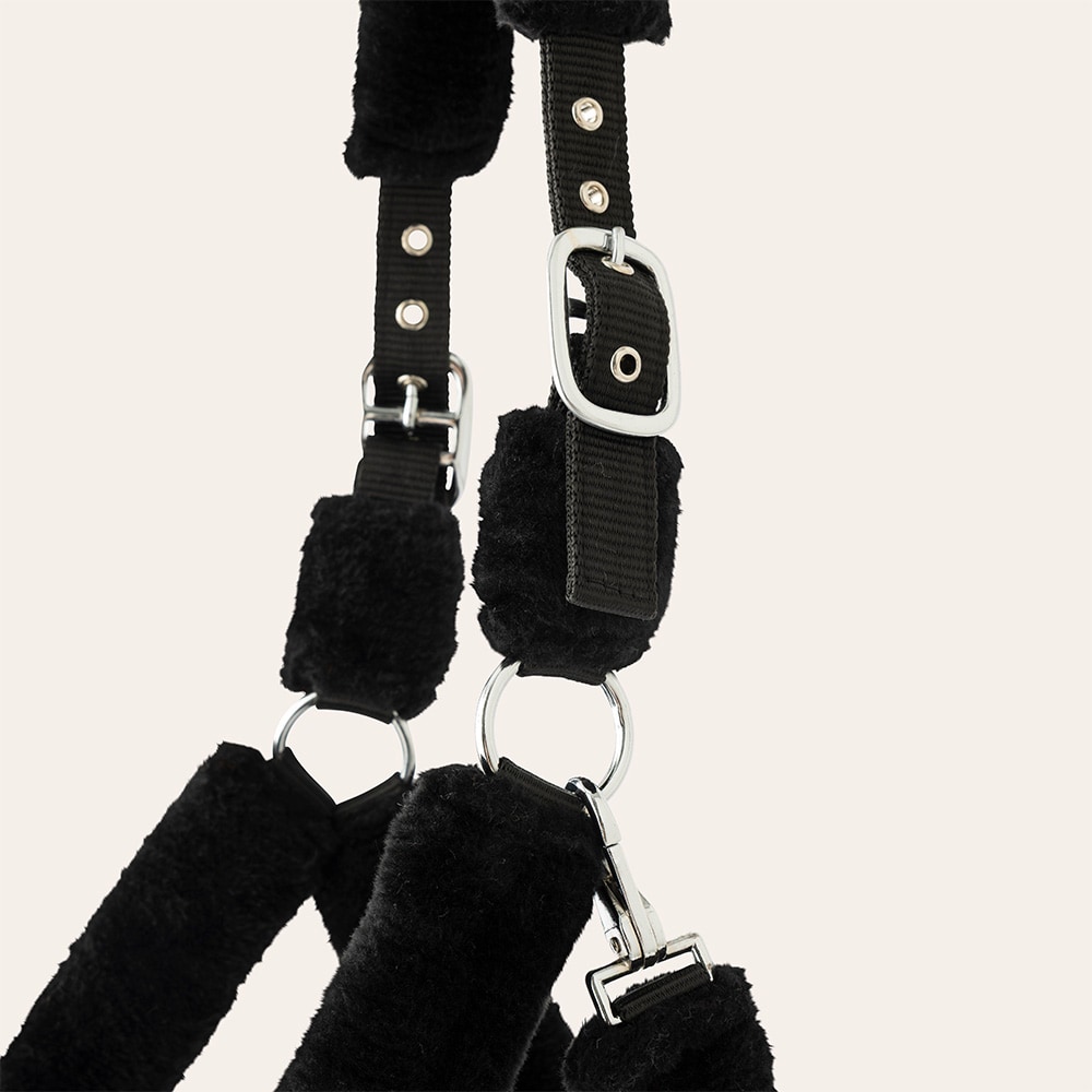 Halter  Corrado Fairfield®