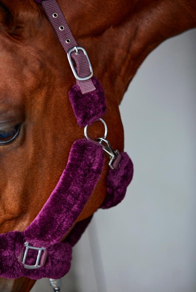 Halter  Corrado Fairfield®