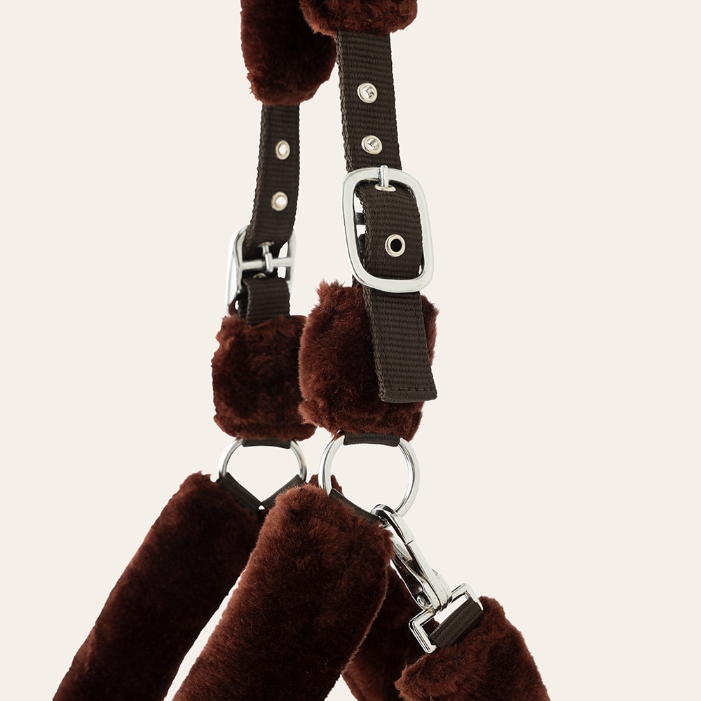 Halter  Corrado Fairfield®