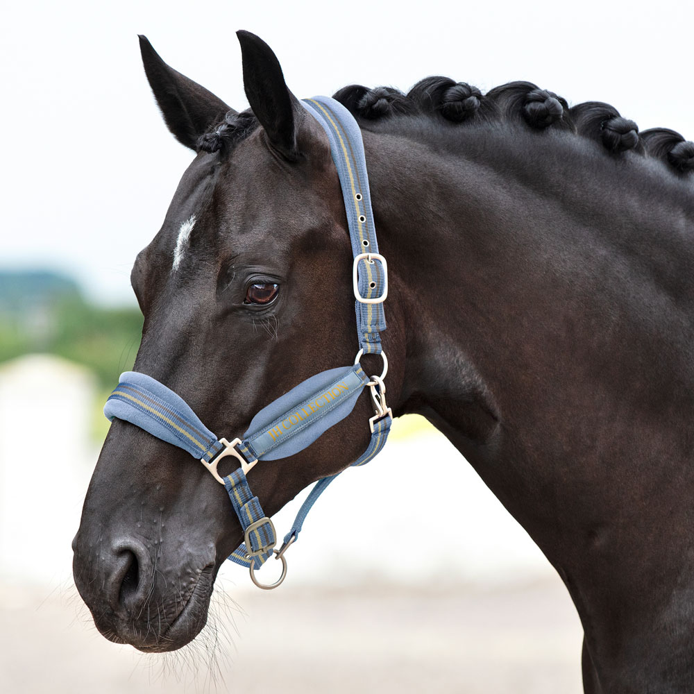 Halter  Pompei JH Collection®
