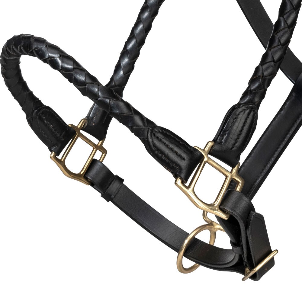 Leather halter  Polino JH Collection®
