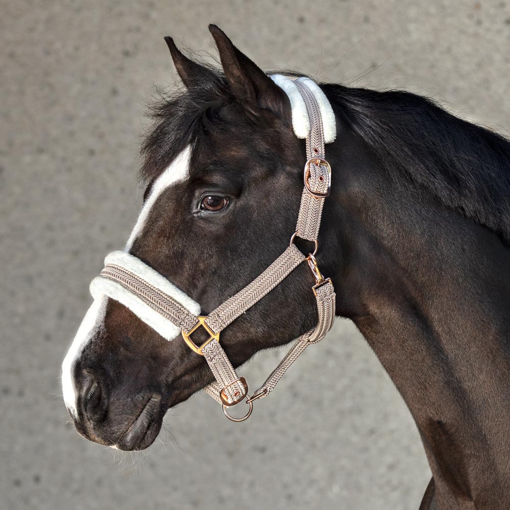 Halter  Furidant Fairfield®
