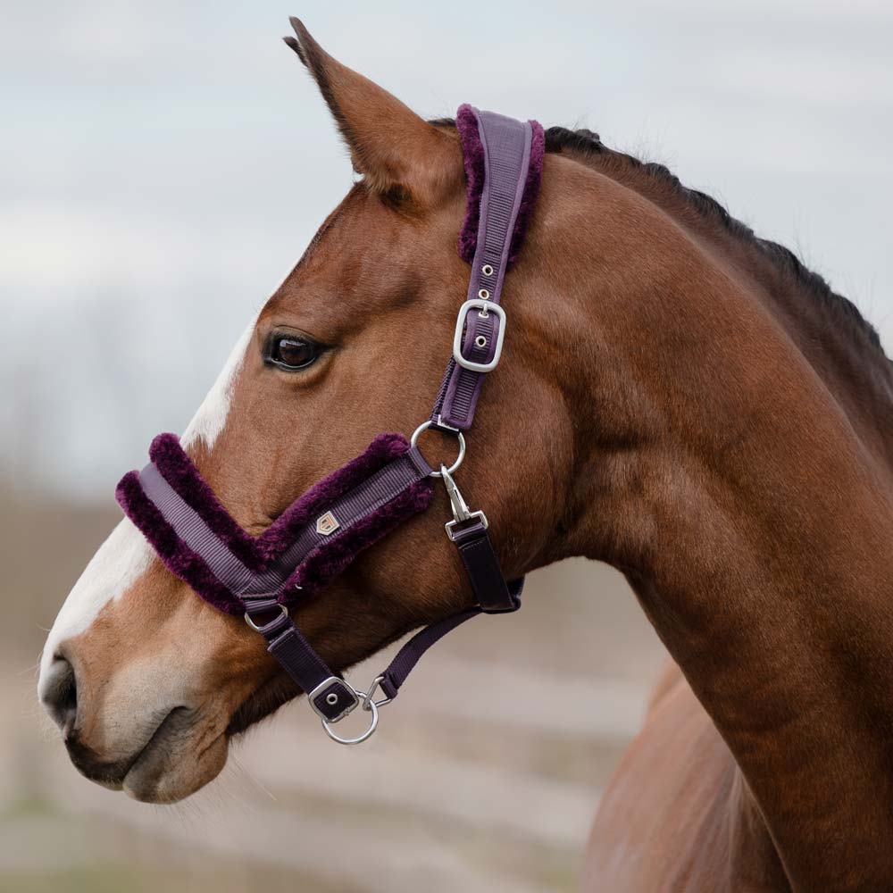 Halter  Ceylon Trinity®