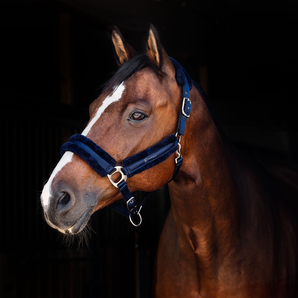Halter  Diarado Fairfield®