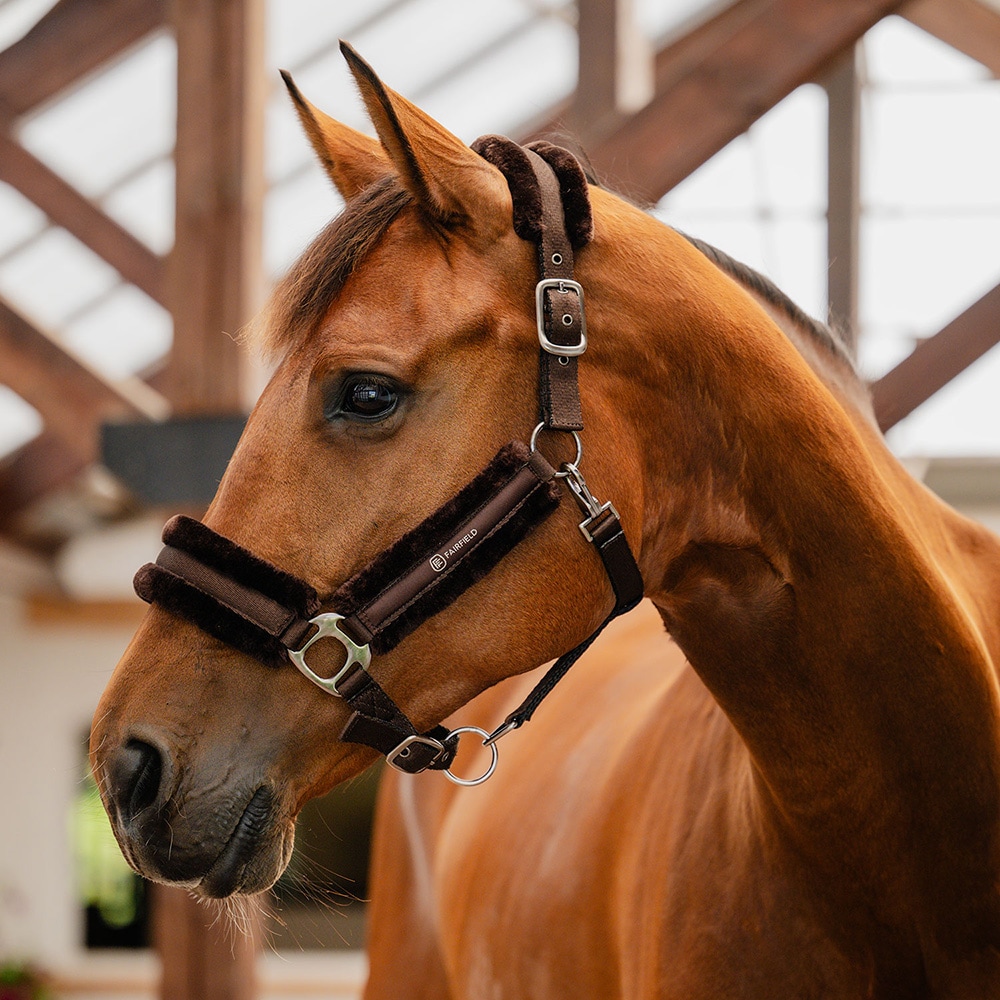 Halter  Diarado Fairfield®