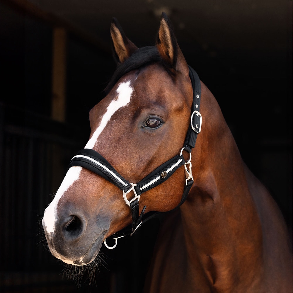 Halter  Nala Fairfield®