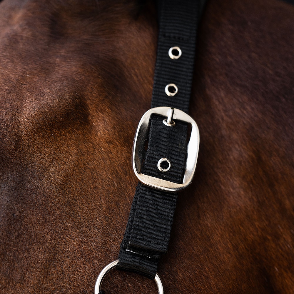 Halter  Nala Fairfield®