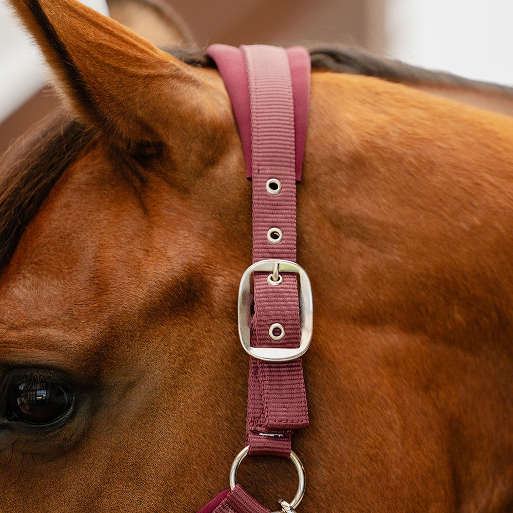 Halter  Nala Fairfield®