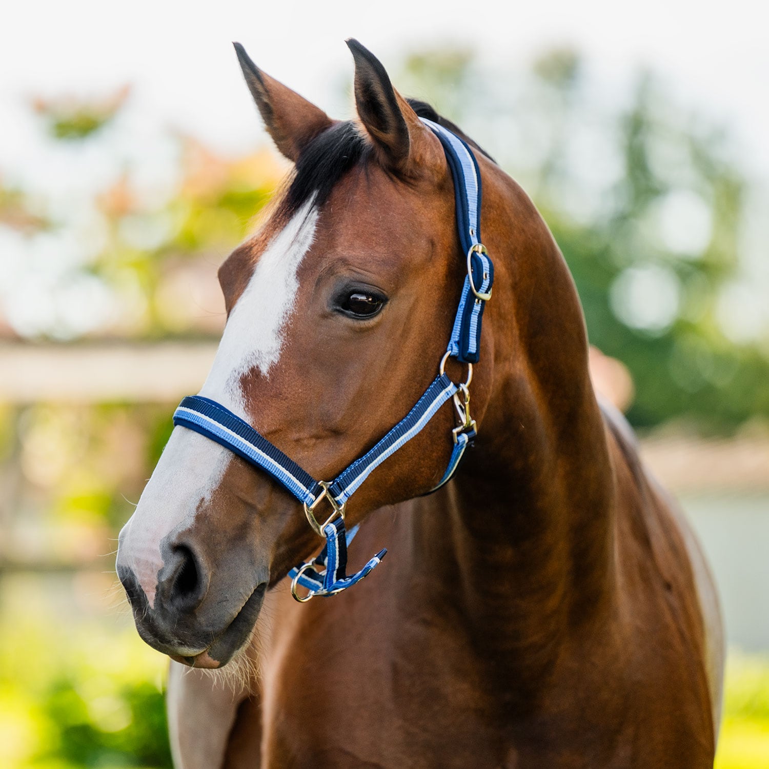 Halter  Nimmerdor Fairfield®