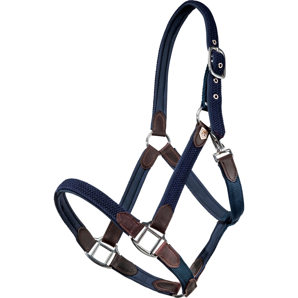 Buckle Nose Safety Halter & Lead