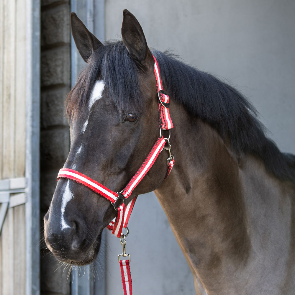 Halter  Colorado Fairfield®