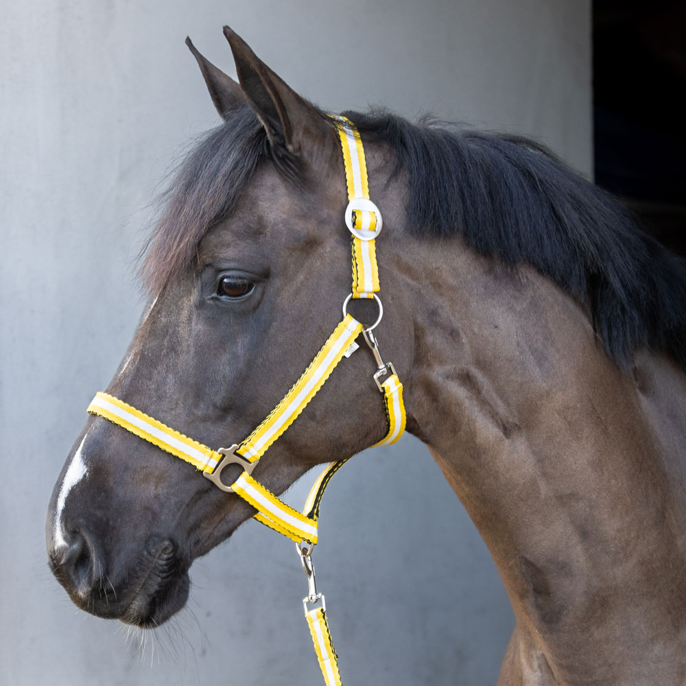 Halter  Colorado Fairfield®
