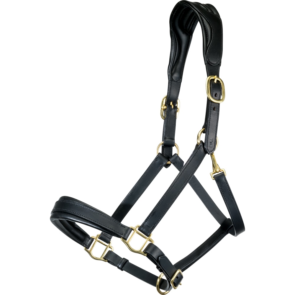 Leather halter  Minori JH Collection®