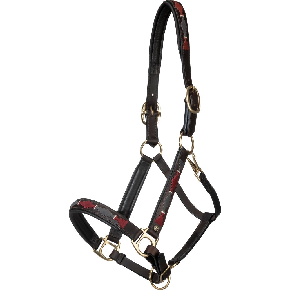 Leather halter  Criollo JH Collection®