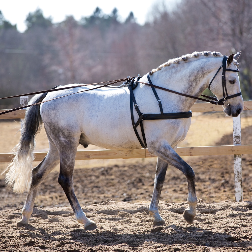 Breast harness   Fairfield®