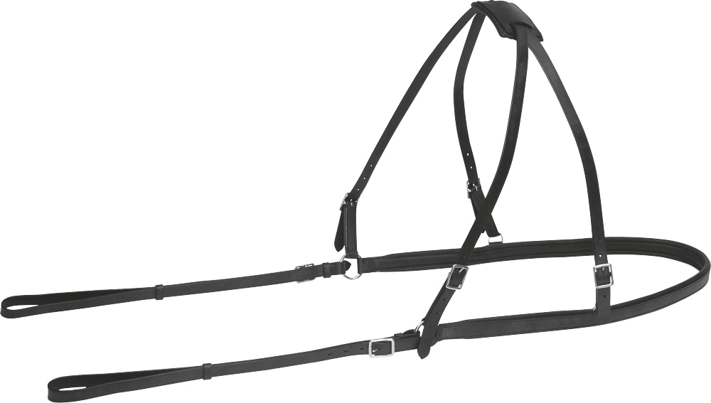 Back harness   Fairfield®