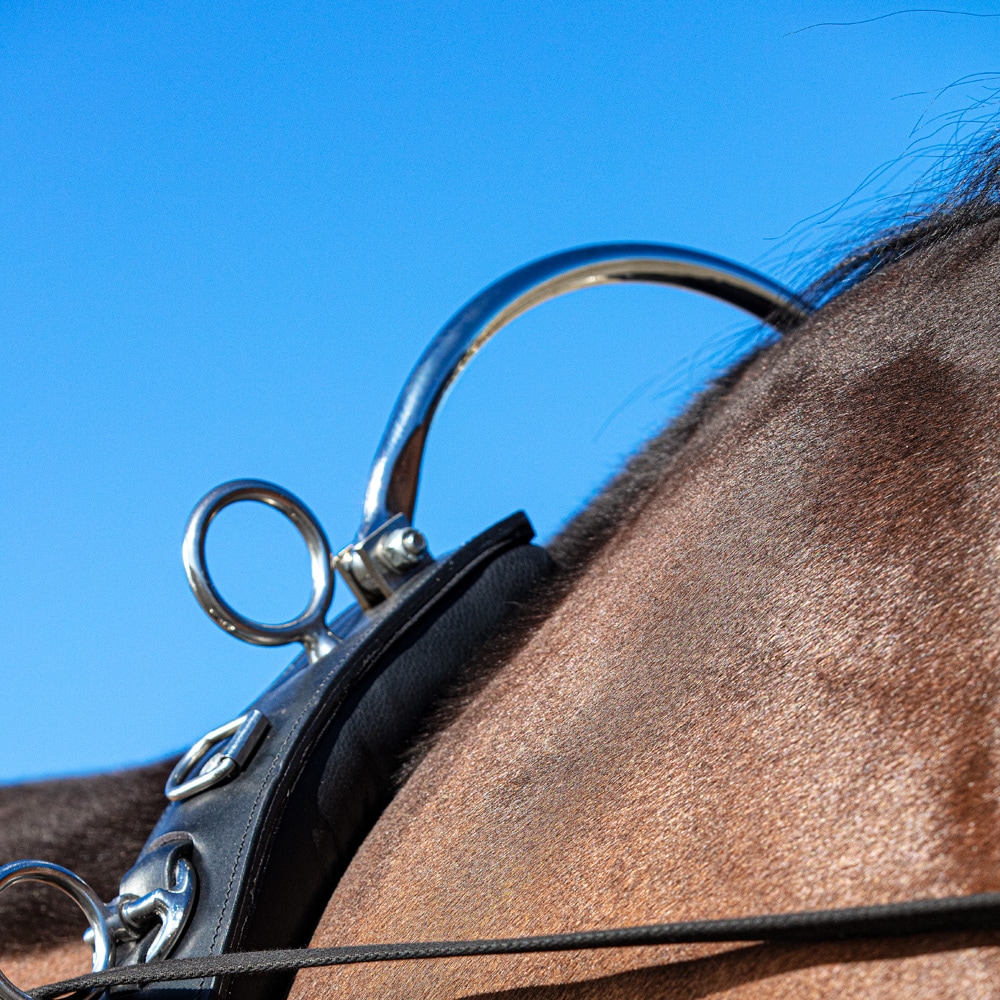 Arch for long reining girth   Fairfield®