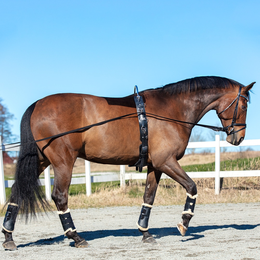 Arch for long reining girth   Fairfield®