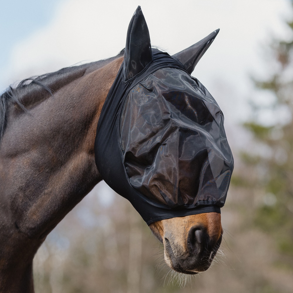 Fly hood  Fly Mask Special Fairfield®